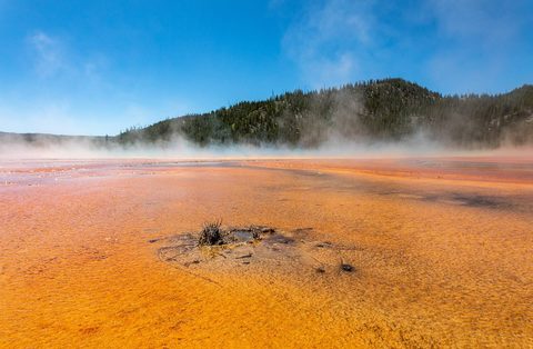 The rainbow rings of Grand Prismatic Spring in Yellowstone