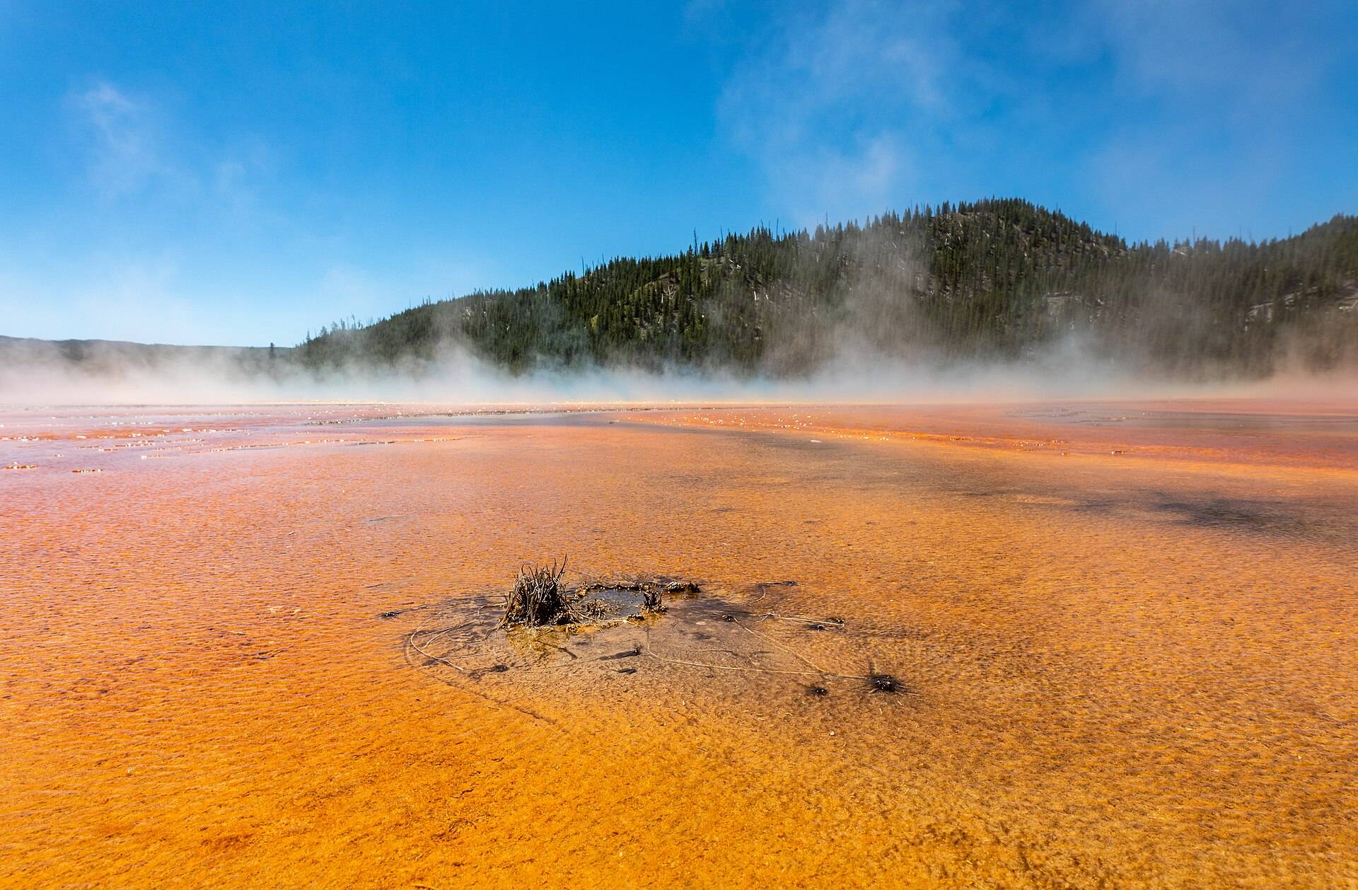 The rainbow rings of Grand Prismatic Spring in Yellowstone